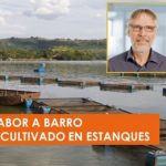 Descubren origen del sabor a tierra.. del pescado criado en estanques