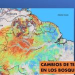 Temperaturas y cambios del clima.. al interior de los bosques tropicales