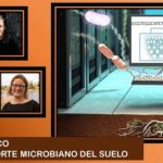 Modelo que incorpora capacidad del suelo para retener el carbono