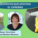 Desinfectantes de uso casero.. son un riesgo para el cerebro