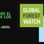 Mañana 4 de Abril: Foro virtual sobre el estado de los bosques, a nivel mundial