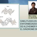 Anormalidades del Alzheimer y el síndrome de Down.. son similares