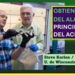 A partir de la lignina.. crean base para la fabricación de analgésicos