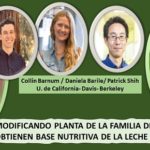 Obtienen nutrientes de la leche materna, de planta de la nicotiana