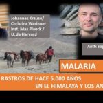 Genoma del virus de la malaria .. traído por los europeos al continente americano