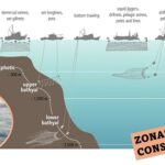Conservación de especies.. está ausente donde es mayor la actividad pesquera