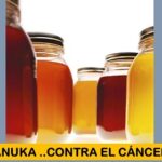 Néctar del árbol de manuka.. contiene compuestos anticancerígenos