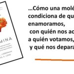 La dopamina: la sustancia que juega con nuestra personalidad y decisiones