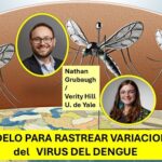 Crean sistema para el seguimiento de las variantes del virus del dengue