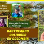 Laboratorio a 3 mil metros de altura para estudiar el hábitat de los colibríes