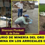 Mercurio empleado en minería de Ecuador .. viaja por los ríos hasta Perú
