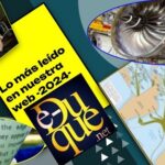 Las 12 notas que despertaron mayor interés entre nuestros lectores (2024)