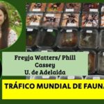 EE.UU: destino mundial del comercio de la fauna silvestre
