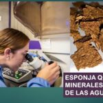 Una esponja que recoge zinc y cobre, de las aguas negras