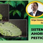 Adhesivo que evita que los pesticidas resbalen de las hojas