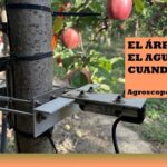 Un sensor que reporta las necesidades de agua .. en una plantación de frutales