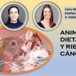 No importa la dieta: las aves presentan menos riesgos de cáncer