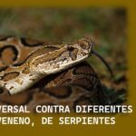 Desarrollando un antídoto contra venenos de serpientes, mortales: Inst. Scripps