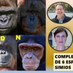 Secuencia completa del ADN de seis especies de simios