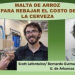 Cerveza hecha con malta de arroz puede ser más barata y sin gluten