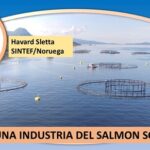 Noruega transforma la industria del salmón para hacerla sostenible