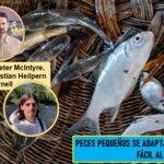 Contabilizan 30.000 especies de peces en ríos y  mares