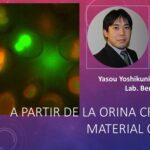 Encuentran en la orina, material para generar tejido óseo