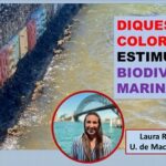 Diques pintados de varios colores atraen la vida marina