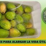 Una fórmula .. para alargar la vida útil del mango