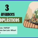3 nuevas opciones para la fabricación bioplásticos