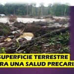 Gran parte de los ecosistemas terrestres .. están enfermos
