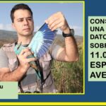 Base de datos sobre 254 familias de aves .. de todo el mundo