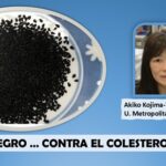 Prueban efectividad del comino negro.. contra la obesidad