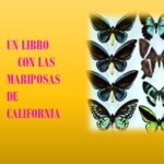 Publican trabajo de 50 años .. sobre las mariposas de California