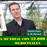 Recolectan datos sobre las plantas medicinales conocidas en el mundo