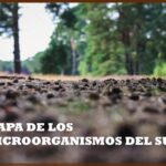 Estudiando un mundo desconocido (Cortesía U. Johns Hopkins)