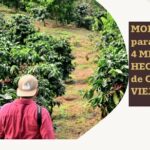 Modelo climático.. para renovar viejas plantaciones de café