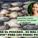 El pescado.. clave para combatir la desnutrición mundial