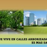 Árboles en calles residenciales reducen los riesgos para la salud