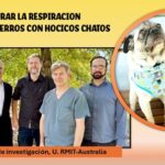 Técnica terapéutica para ayudar a los perros de hocico chato