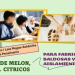 Aprovechando cáscaras de frutas,, para fabricar materiales sostenibles