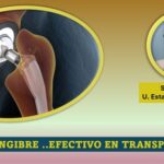Extracto de cúrcuma y jengibre...ayuda a la adhesión de implantes óseos