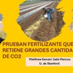 Un fertilizante que captura CO2 y mejora el rendimiento agrícola