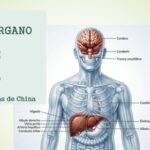Un reloj que mide el envejecimiento humano... físico y mental
