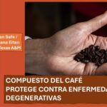 El café protege contra el envejecimiento y enfermedades crónicas