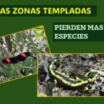 Número mayor de especies de plantas y animales..se extingue en las zonas templadas