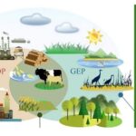 Pasando del PIB al GEP: un indicador que incluye el aporte de la naturaleza al bienestar general