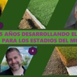 Aplicaron 8 tipos de césped para los 14 estadios del Mundial de Fútbol