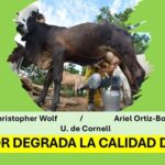 El calentamiento del Planeta...reduce la calidad de la leche: U. de Cornell