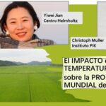 Prueban los efectos del calor extremo..en los rendimientos del cultivo de arroz